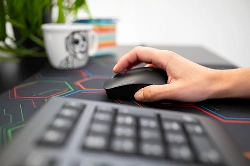 MW2400 Mouse - Wireless