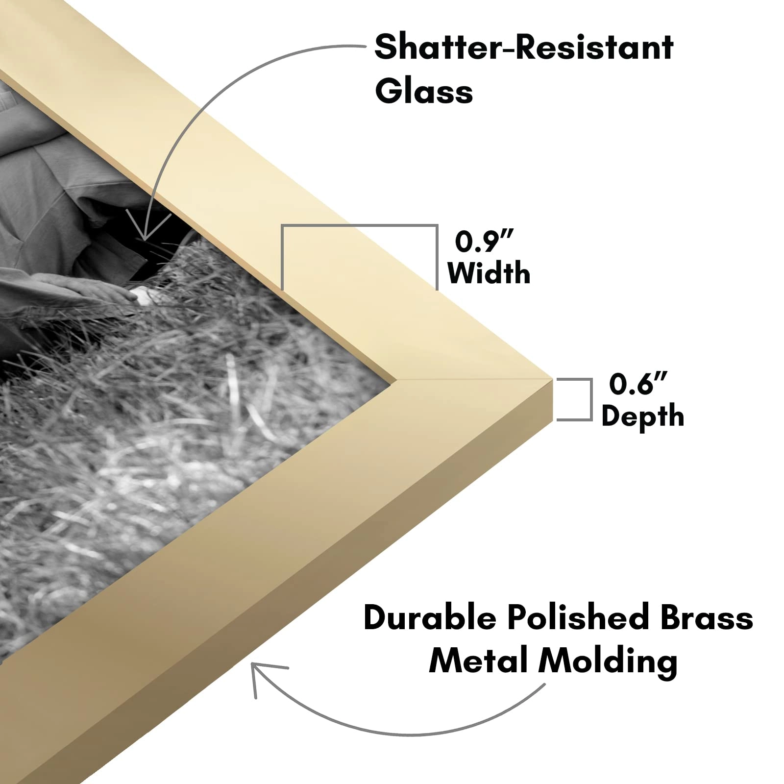 Set of 10 Picture Frames