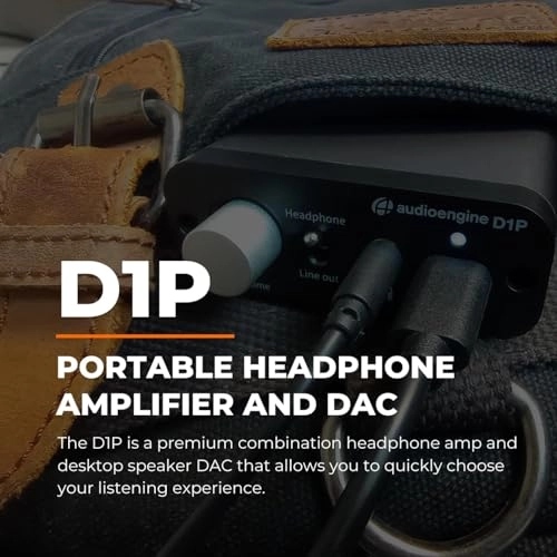D1P - DAC