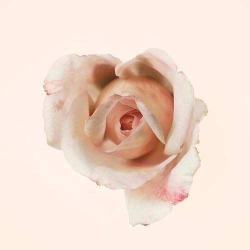 Signatures Garden Roses - Eau de Parfum 3.3 fl oz.