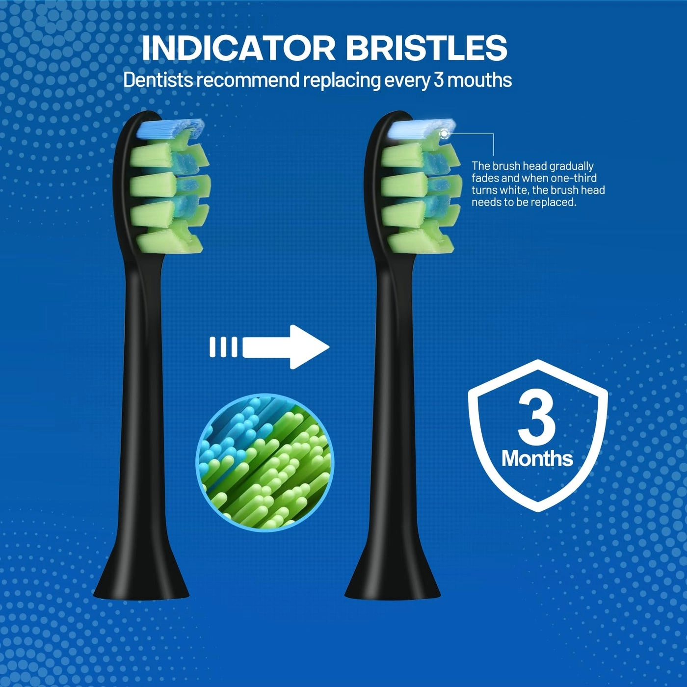 Replacement Heads - 10 PCS Compatible with 7am2m AM100/AM101/AM105/AM111