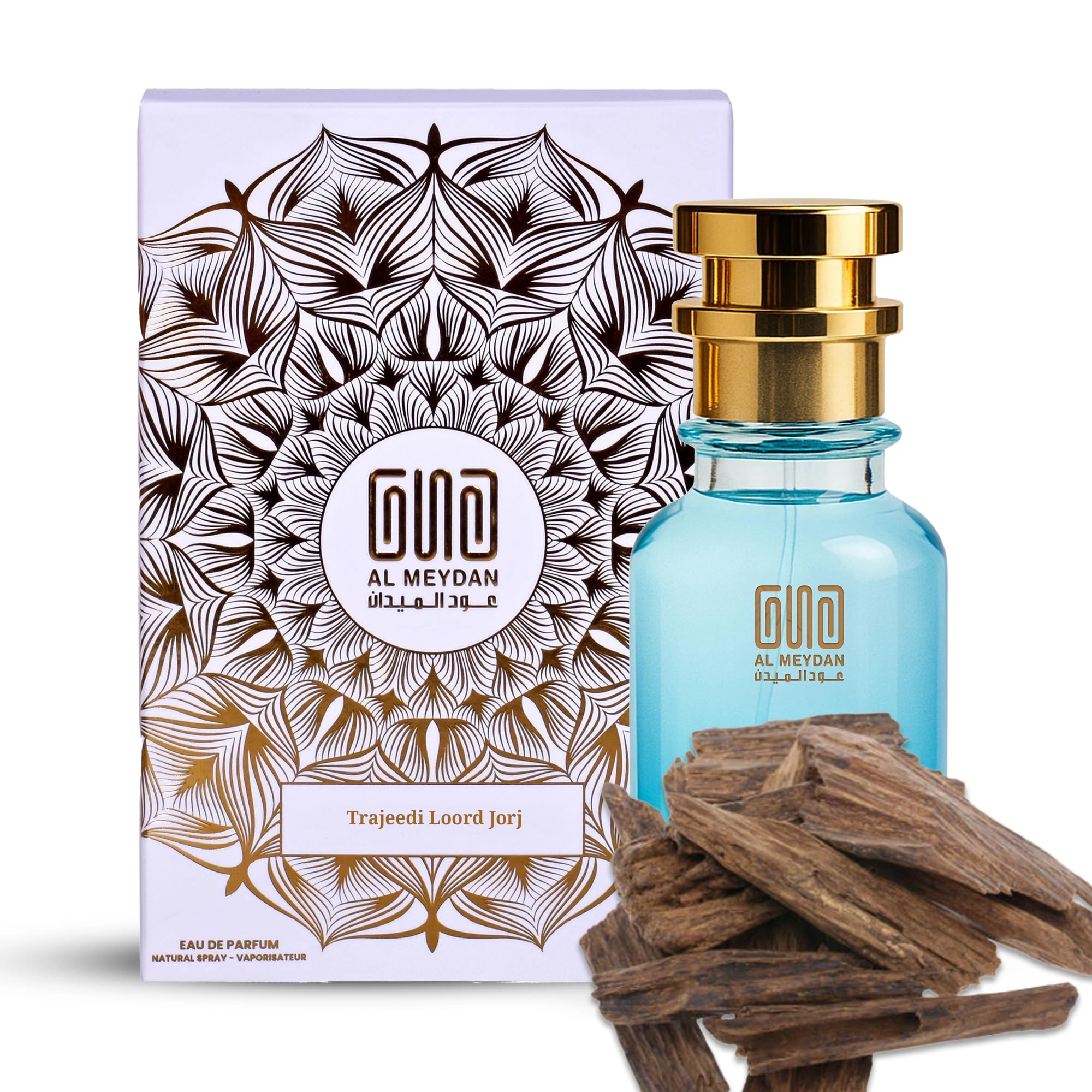 Oud Al Meydan Rejjent Lethher - 100 ML
