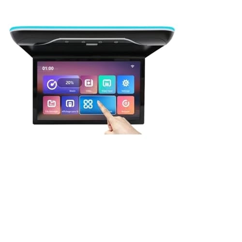 Roofmount LCD Monitor - 19in