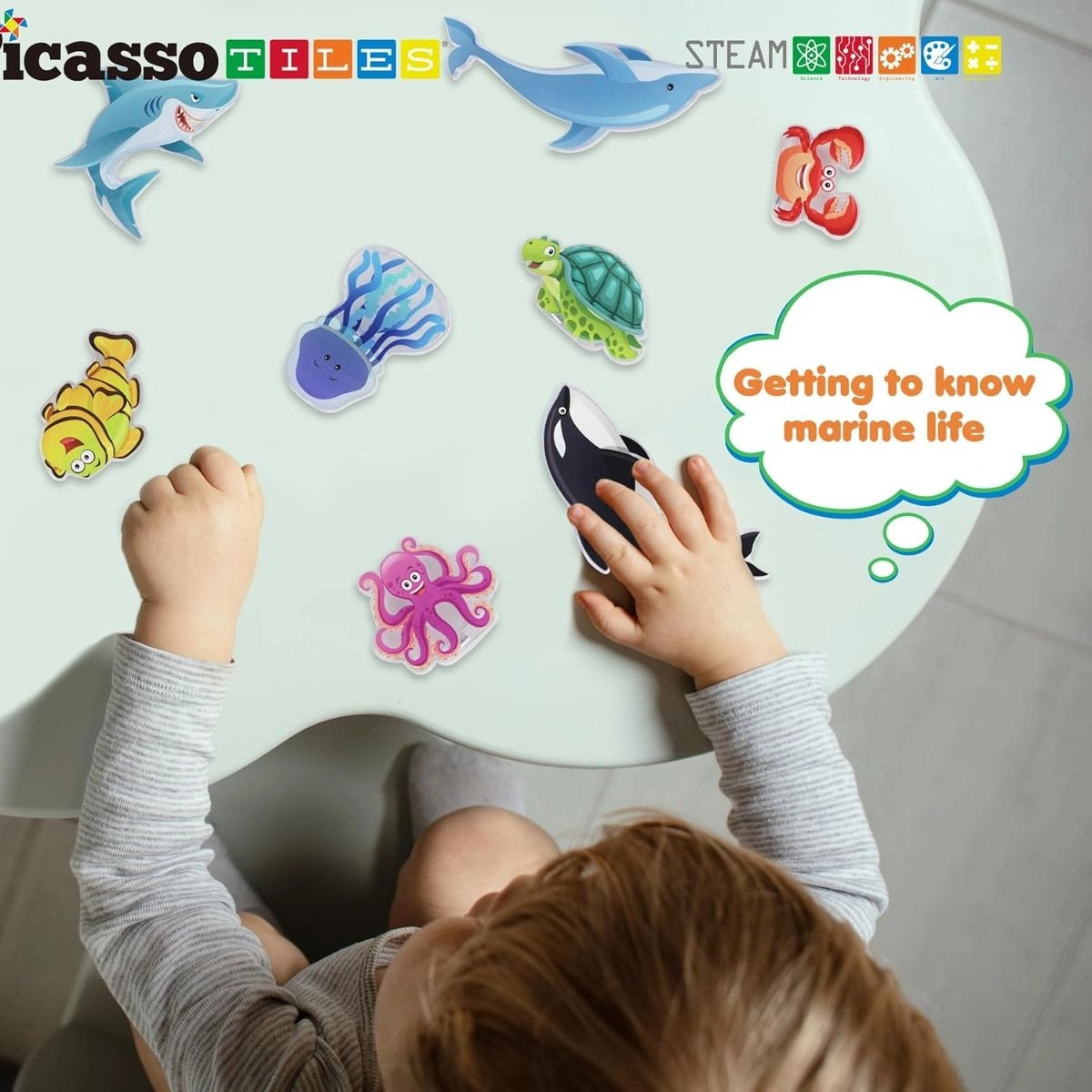 Magnetic Block Marine Animals - Multi Colour 8 pcs