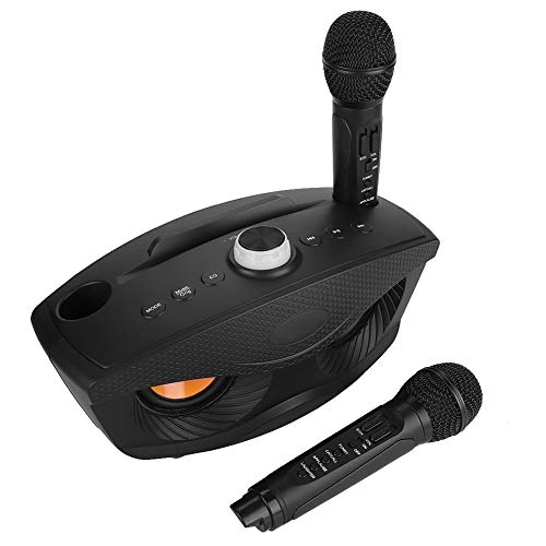 Karaoke Speaker - 2 microphones