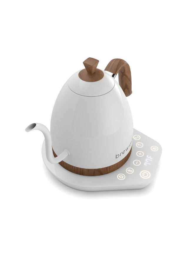 Artisan Electric Kettle