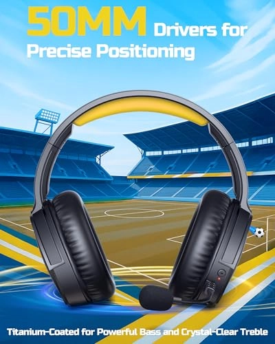 BW02-BT Wireless Headset