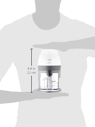 CH 6280 - 0.5 L 450 W