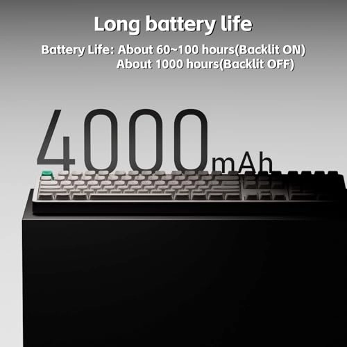 Node100 - Wired/Wireless