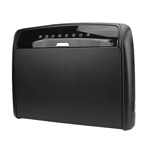 Car Overhead Player - 15.6in