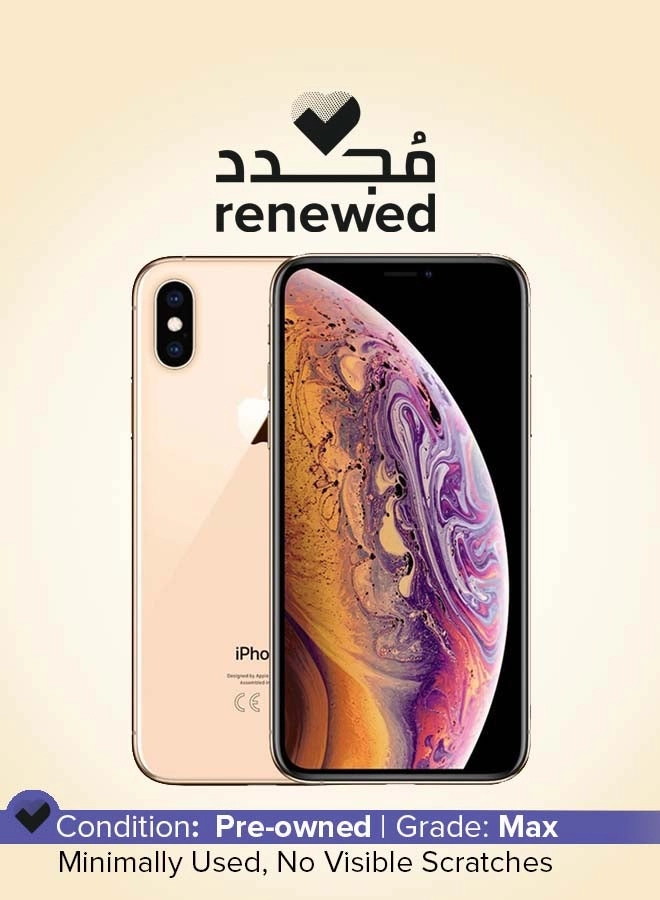 (Renewed) iPhone XS - 256GB