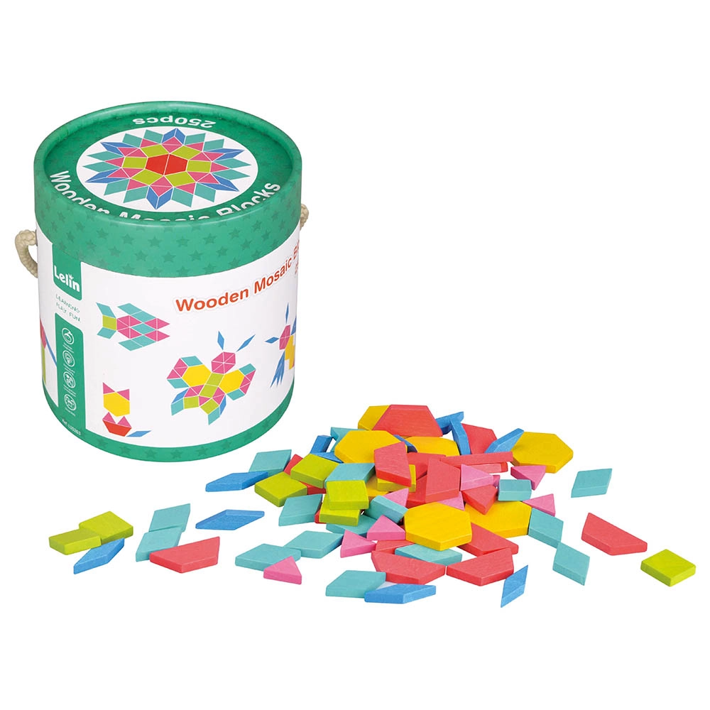 Wooden Mosaic Blocks - 250pcs