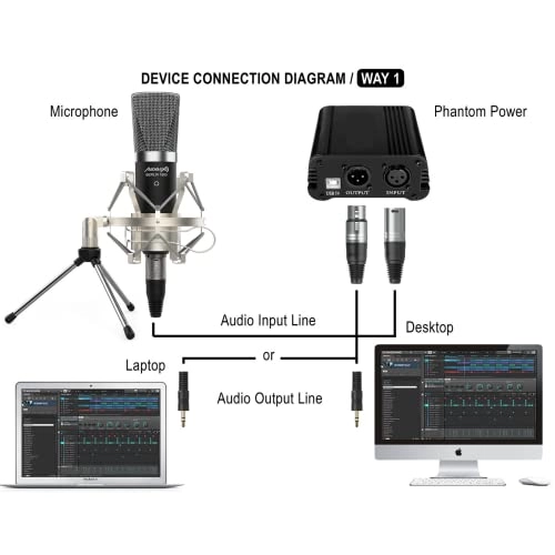 Berlin 1800 XLR Microphone