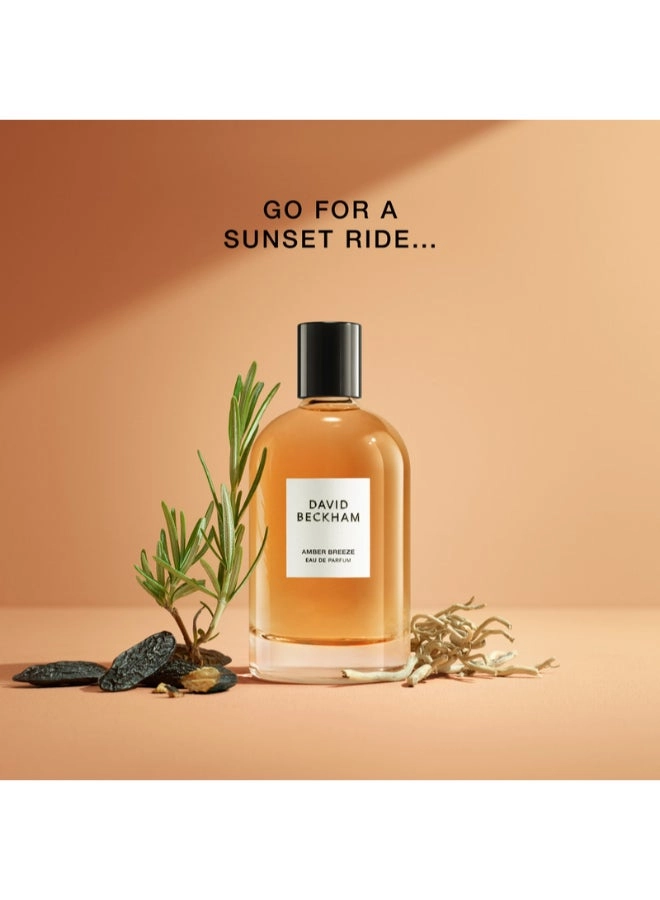Amber Breeze - Eau de Parfum 100 ml