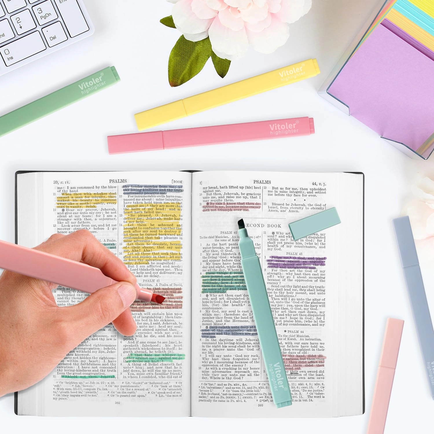 Bible Highlighters - Pastel Chisel