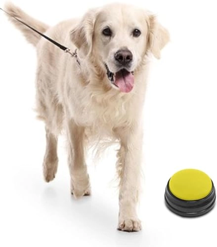 Recordable Sound Button - Puppy Kitten