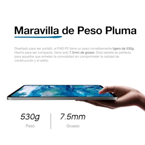 P2 Active - 16GB 11"