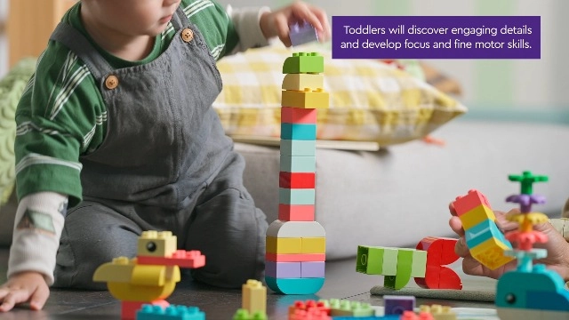 Colourful Creative Box (10479) - DUPLO