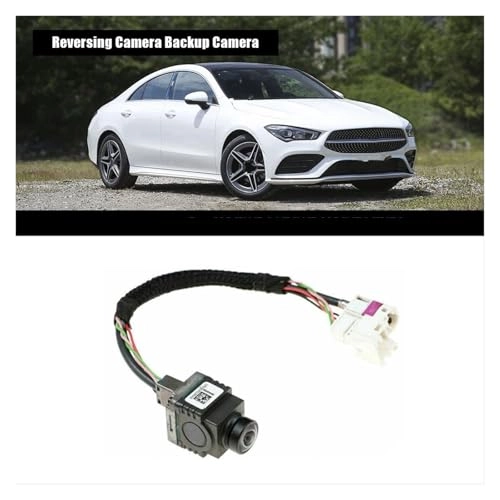 A1669059602 - Night Vision