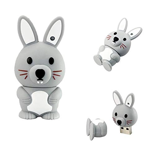 Usb Flash Drive - 16GB