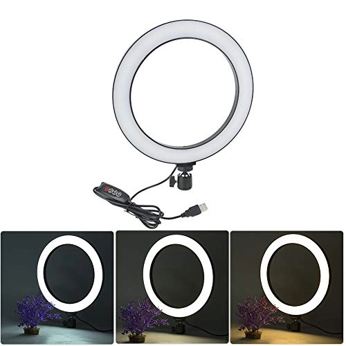 LED Ring Light - 10 inch