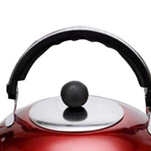 Stovetop Induction Whistling Kettle - 5L
