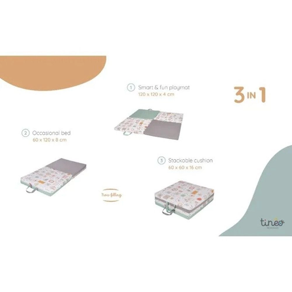 3 in 1 Smart And Fun Playmat - Indian Spirit 0 months