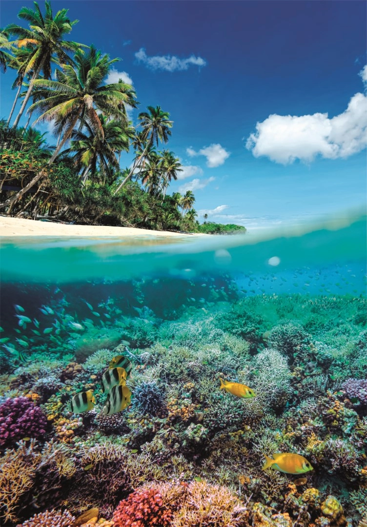 Summer Paradise Puzzle (ALGT-39931) - 1000 pcs