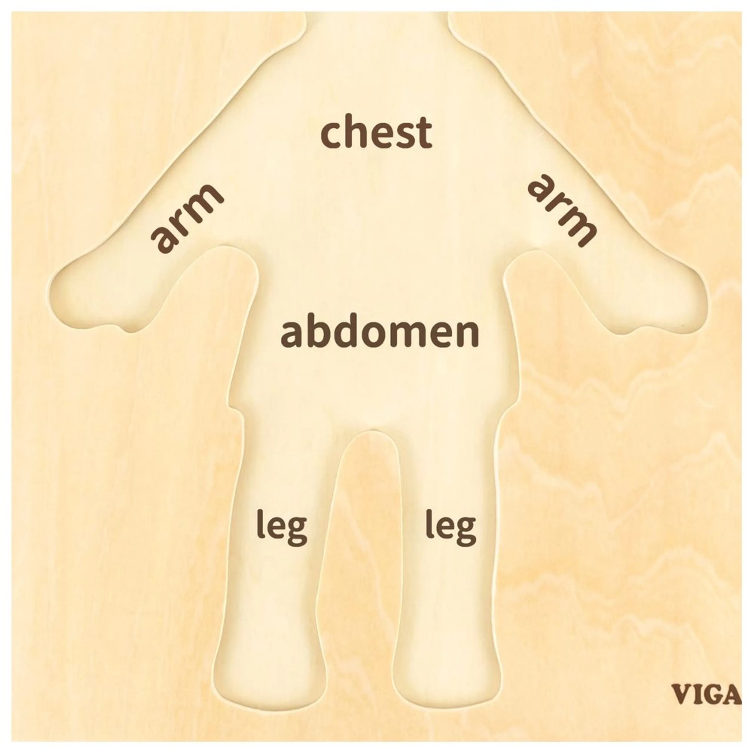 Body Parts Puzzle-Boy - 3 + 7 pcs