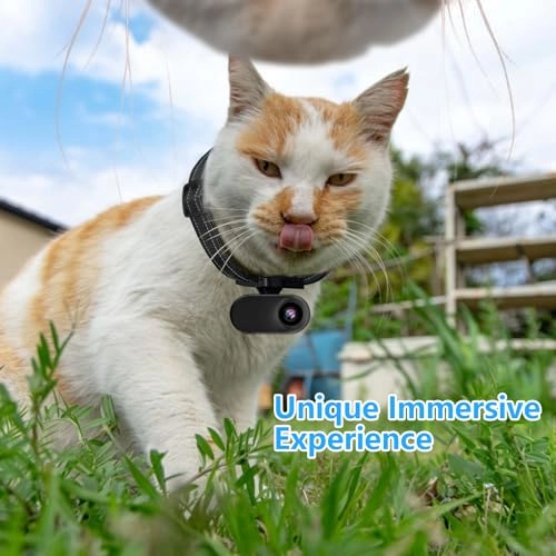 Cat Camera Collar - HD 1080P