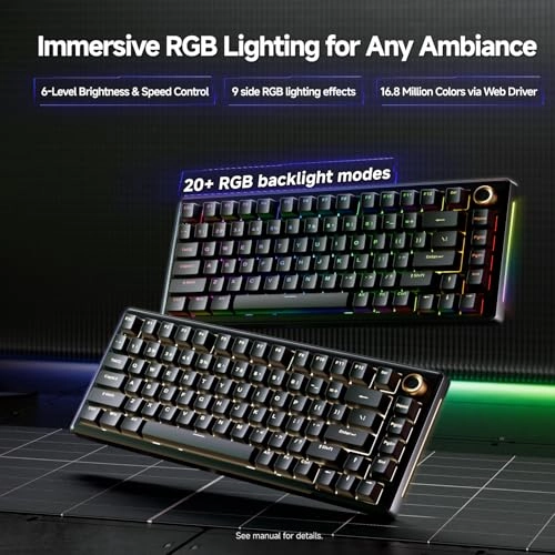 T81E - Wired