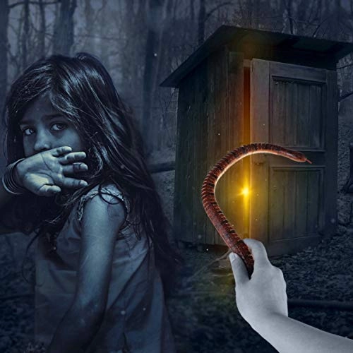 Wood snake - 8 piece(s)