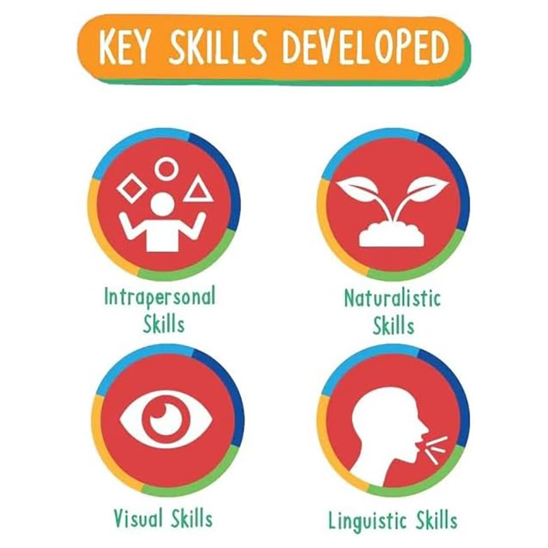 Eco Alphabets Letter Recognition Card Game - 3 years & above