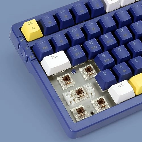 Wireless Mechanical Keyboard - Bluetooth