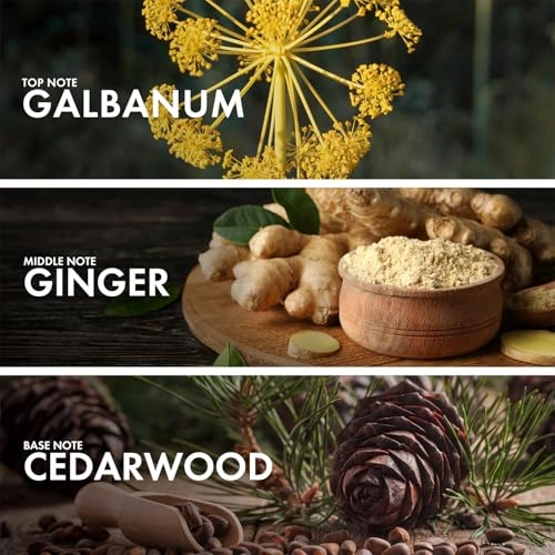 Gingery Cedarwood - Eau de Parfum 50 ml