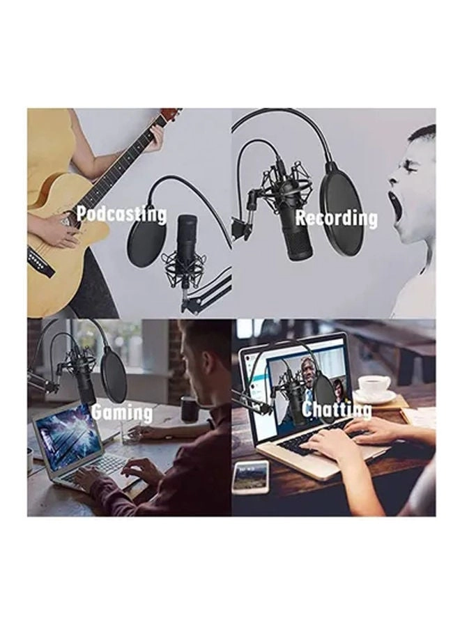 BM-800 + Live Sound Card Wired Microphone