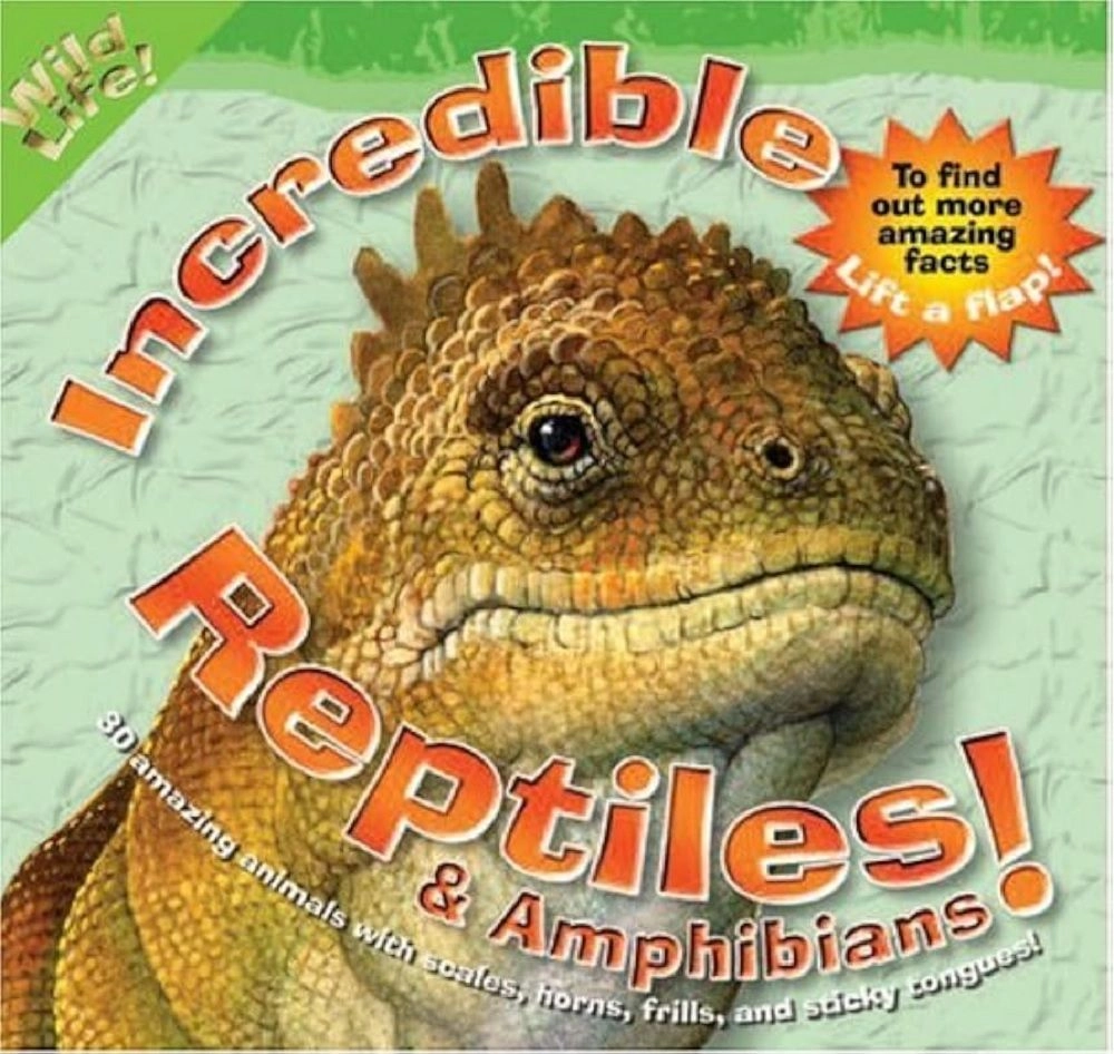 Alligator Incredible Reptiles & Amphibians - 6+
