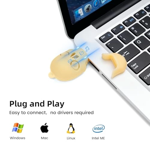 TGX-eu silica gel skeleton - USB 2.0 USB A 32GB