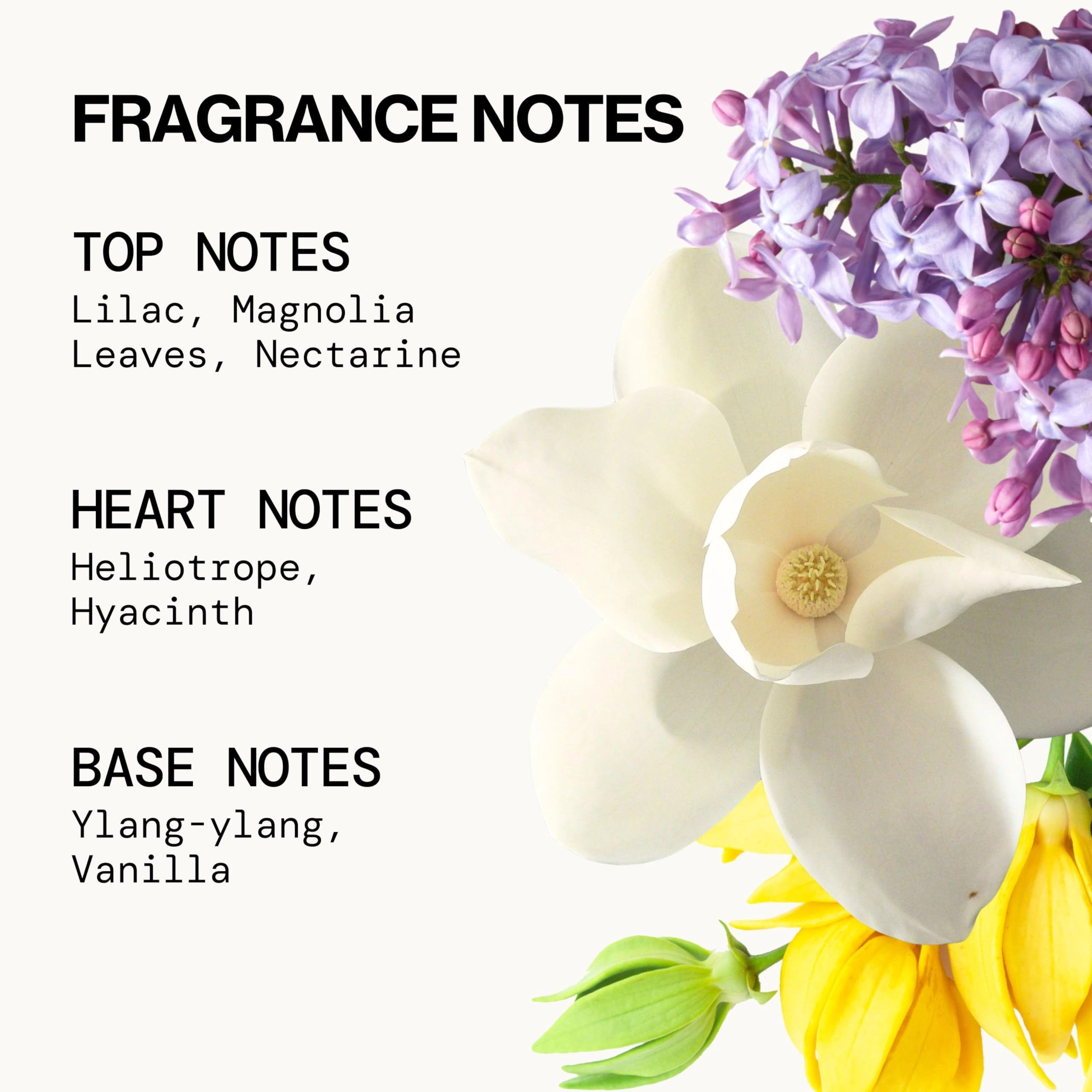 Perfumed Hair & Body Mist - 177 Milliliters French Lilac