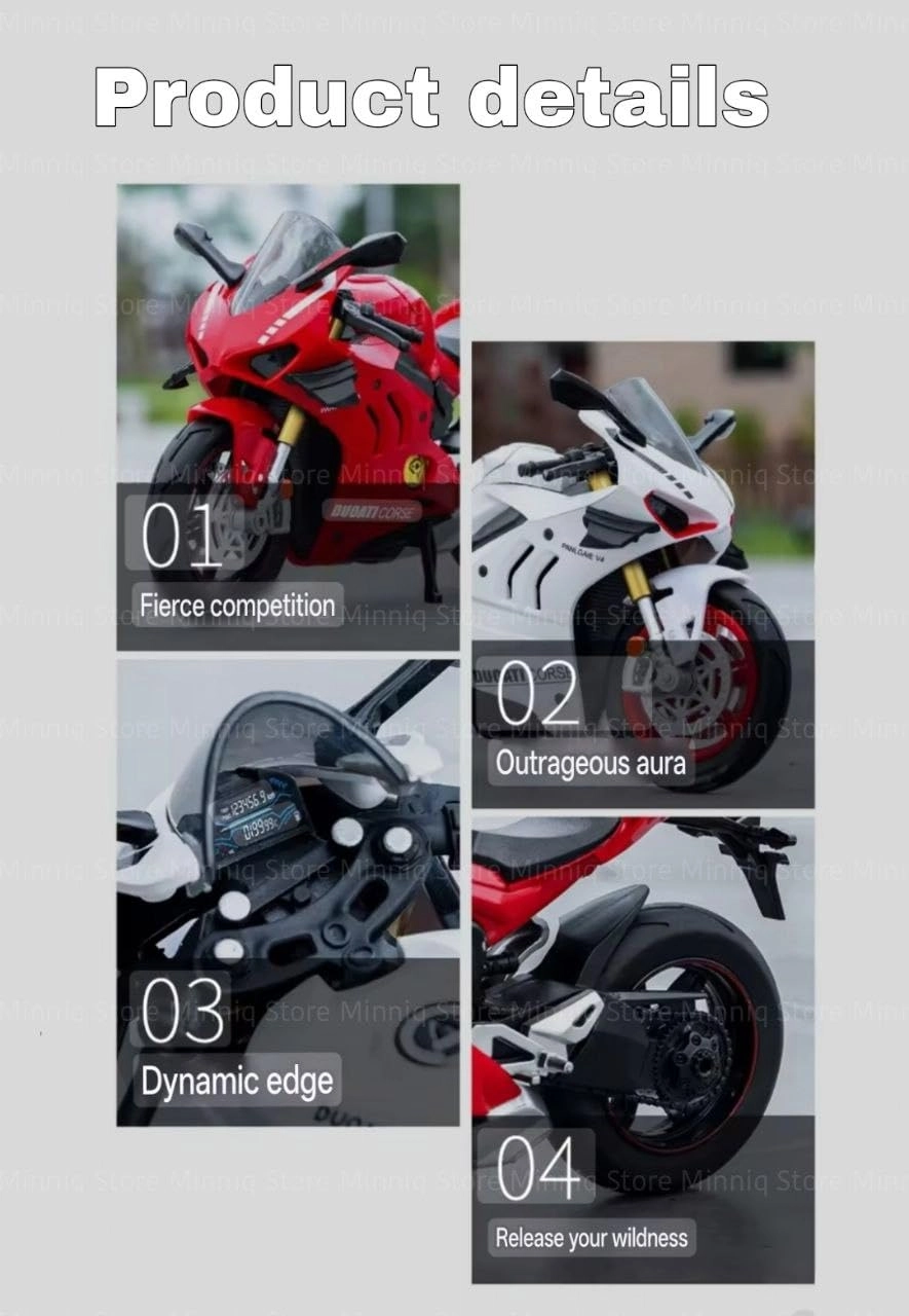 R1250GS - 1:12 1