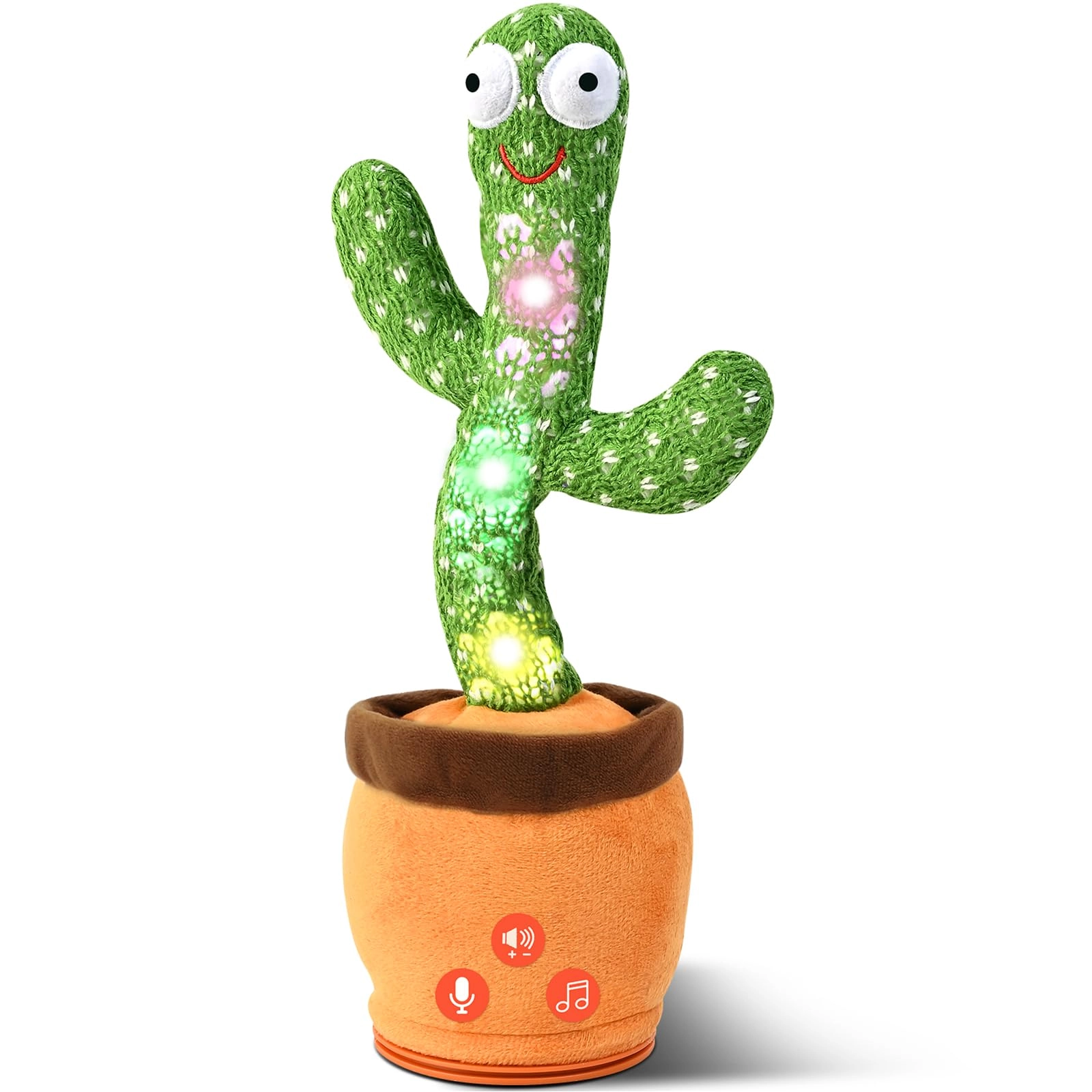 sanjoin T-008 - Cactus 18 months