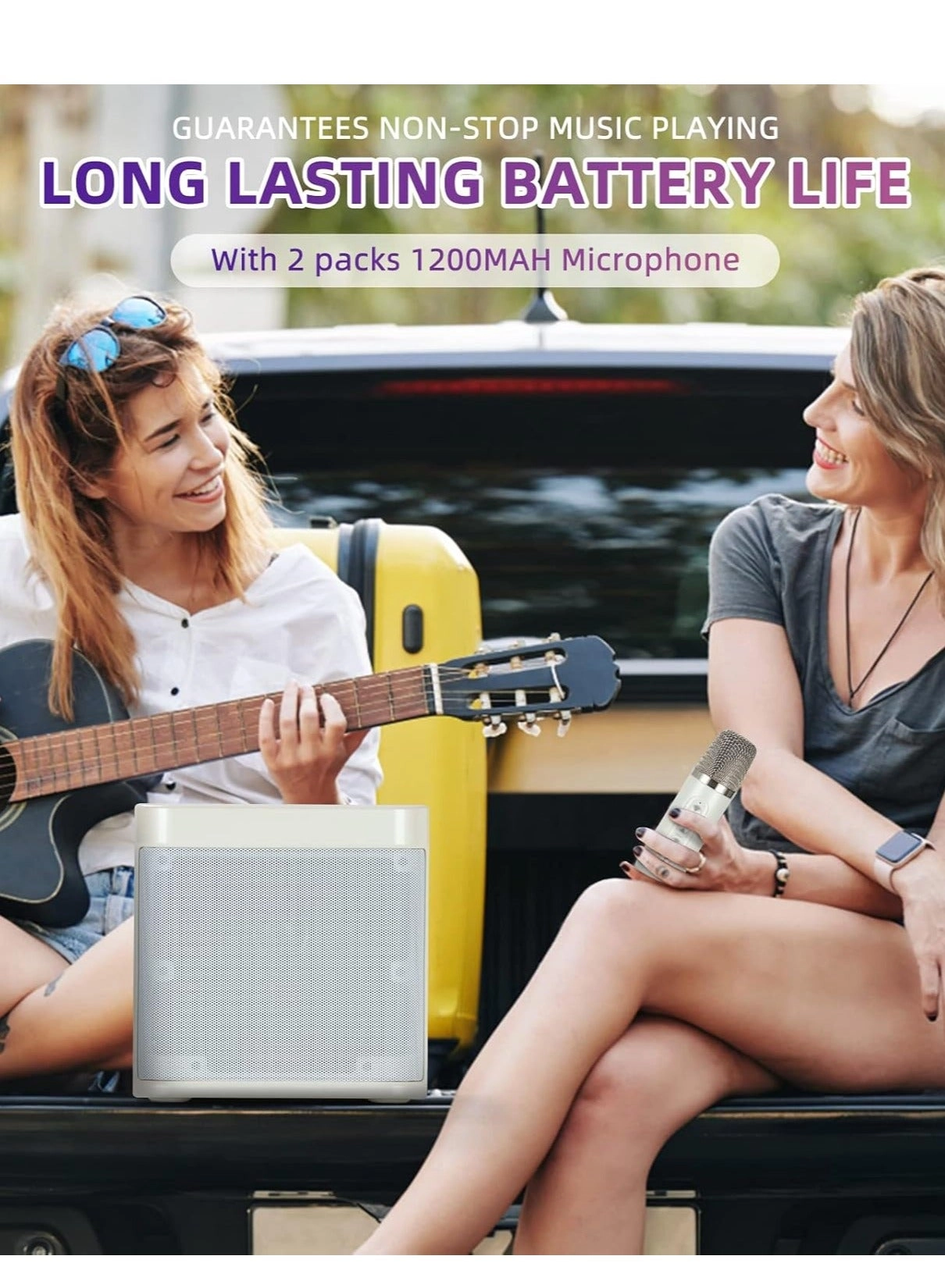 YS-203 - 2 wireless microphones