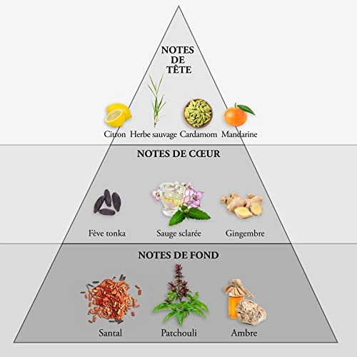 Whisky Eau de Toilette 100 ml