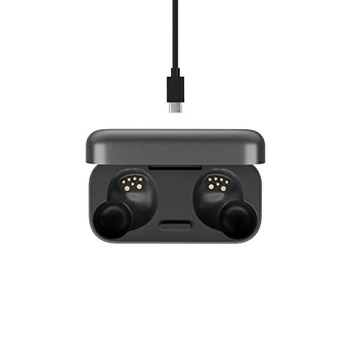 GTW 270 Hybrid Wireless Earbud