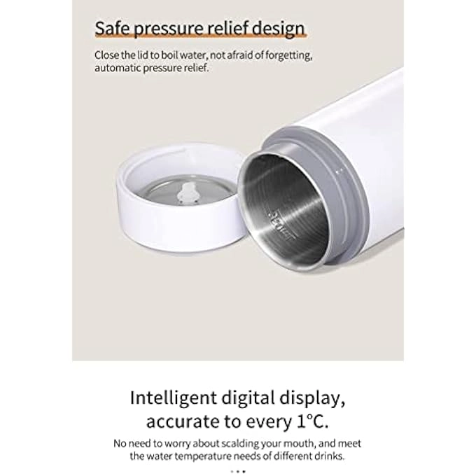 Travel Electric Kettle with 4 Temperature Settings 