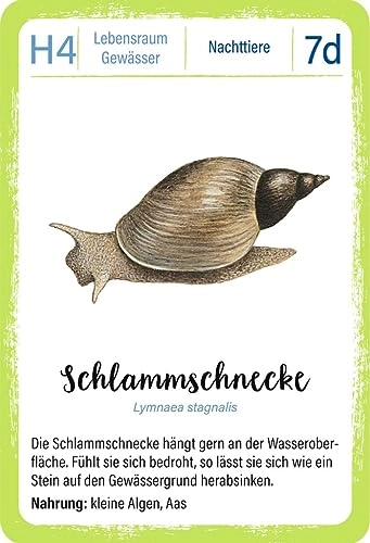 Expedition Natur Quartett Waldtiere - Children/Juvenile