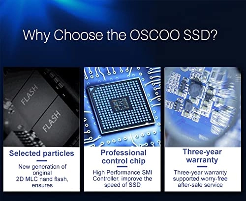 OM600 - 256GB 2.5-inch