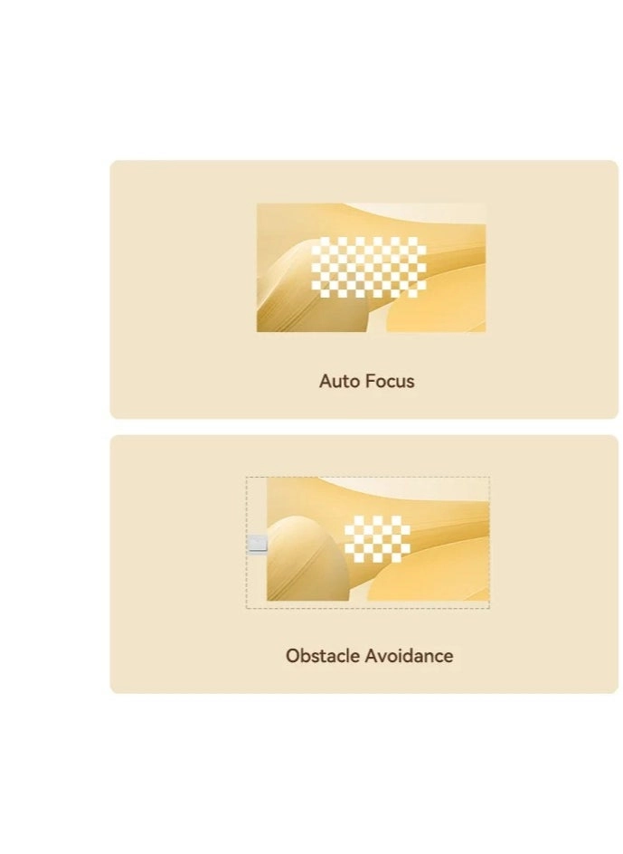 Dali 1 350 ANSI Lumens