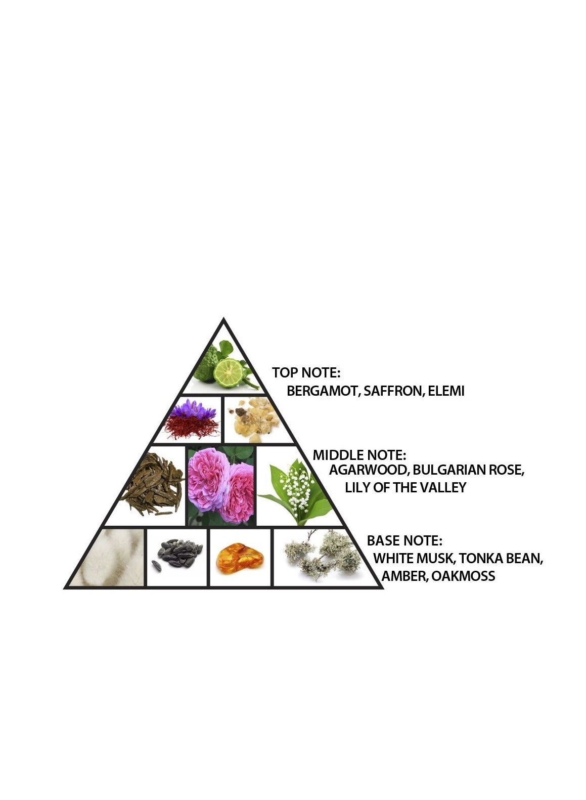 AMBER OUD DUBAI NIGHT Eau de Parfum - 100 ml