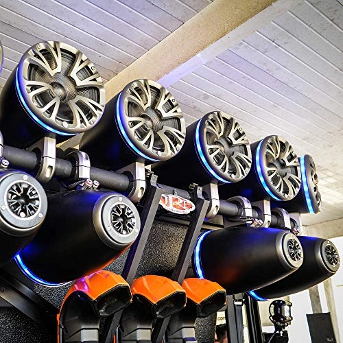 APMP-600ETW - 6 Inch Directional Stereo